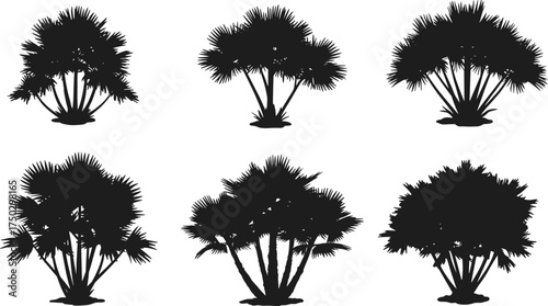 Palm tree silhouettes collection, tropical plant shapes, exotic foliage design, summer beach illustration, isolated black trees, botanical clipart, landscape elements, vector artwork