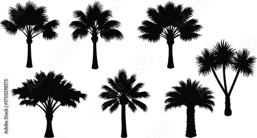 Palm tree silhouettes collection, tropical plant vector, exotic foliage artwork, summer beach design, isolated black trees, botanical clipart, landscape elements, decorative illustration