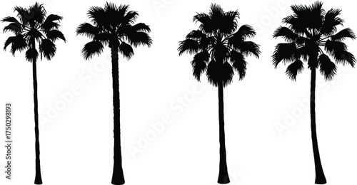 Palm tree silhouettes set, tropical beach design, exotic summer nature elements, black palm shapes, vector illustration, isolated botanical tropical artwork