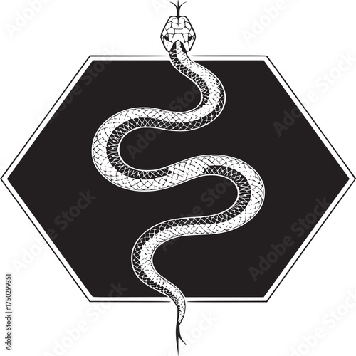 A stylized snake with black and white pattern coiled against a black hexagonal background shape art