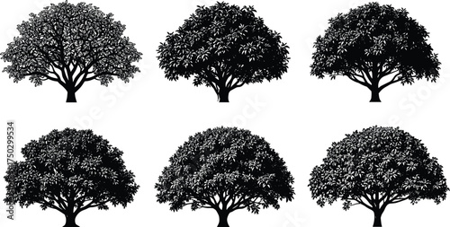 Silhouette tree collection, black tree outlines, diverse foliage patterns, natural forest elements, isolated vector illustration, abstract botanical design, landscape icons set