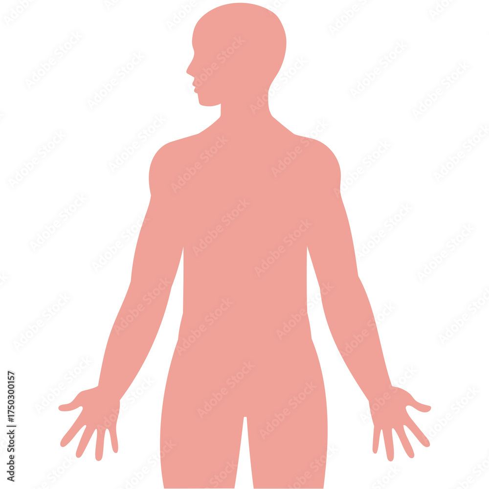 Naklejka premium Flat Graphic Human Body