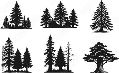 Tree silhouette collection, conifer and deciduous vector, black forest artwork, botanical shape design, nature graphic, landscape element, organic plant illustration