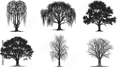 Tree silhouette collection, willow and deciduous vector, black tree artwork, nature graphic design, botanical shape illustration, forest element, seasonal foliage