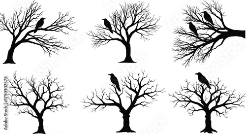 Tree silhouette with birds, crow and raven vector, black forest artwork, seasonal nature design, symbolic tree illustration, organic landscape element