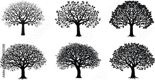 Tree silhouette, deciduous tree, forest illustration, natural design, botanical vector, foliage artwork, eco symbol, landscape element, plant drawing, environment concept