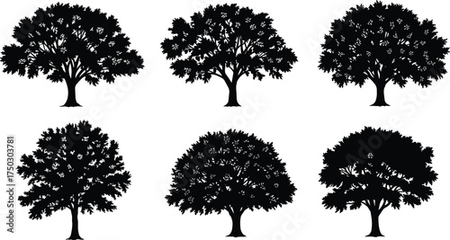 Tree silhouettes collection, black tree outlines, diverse canopy shapes, isolated vector illustration, natural landscape elements, abstract botanical art, branching structure design