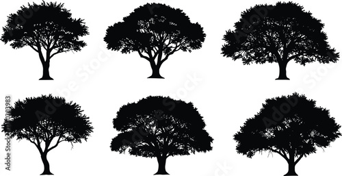 Tree silhouettes collection, diverse canopy shapes, botanical illustration, isolated black trees, foliage artwork, landscape design elements, vector clipart, natural plant pattern