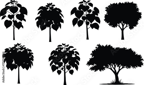 Tree silhouettes collection, diverse forest landscape elements, black nature shapes, botanical illustration, isolated vector trees, woodland design, natural foliage artwork