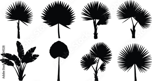 Tropical palm and banana plant silhouettes, exotic foliage vector, summer beach design, isolated black trees, botanical clipart, landscape elements, decorative illustration