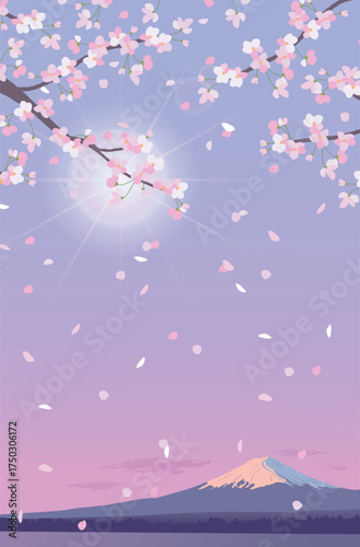Flowering branch of cherry blossoms on the background of mount Fuji. A snowy mountain top in the sunlight. Realistic vector illustration of falling white petals. Morning spring landscape in Japan.