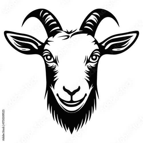 Goat face linear illustration animal vector vector