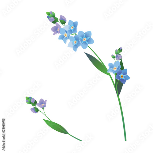 Vintage vector floral element. A set of branches of blooming forget-me-nots. Spring flowers with blue petals. Clipart for wedding designs, Mother's Day, and Valentine's Day cards.