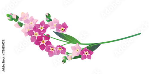 Vintage vector floral element. A branch of pink blooming forget-me-nots. Spring flowers with blue petals. Clipart for wedding designs, Mother's Day, and Valentine's Day cards.