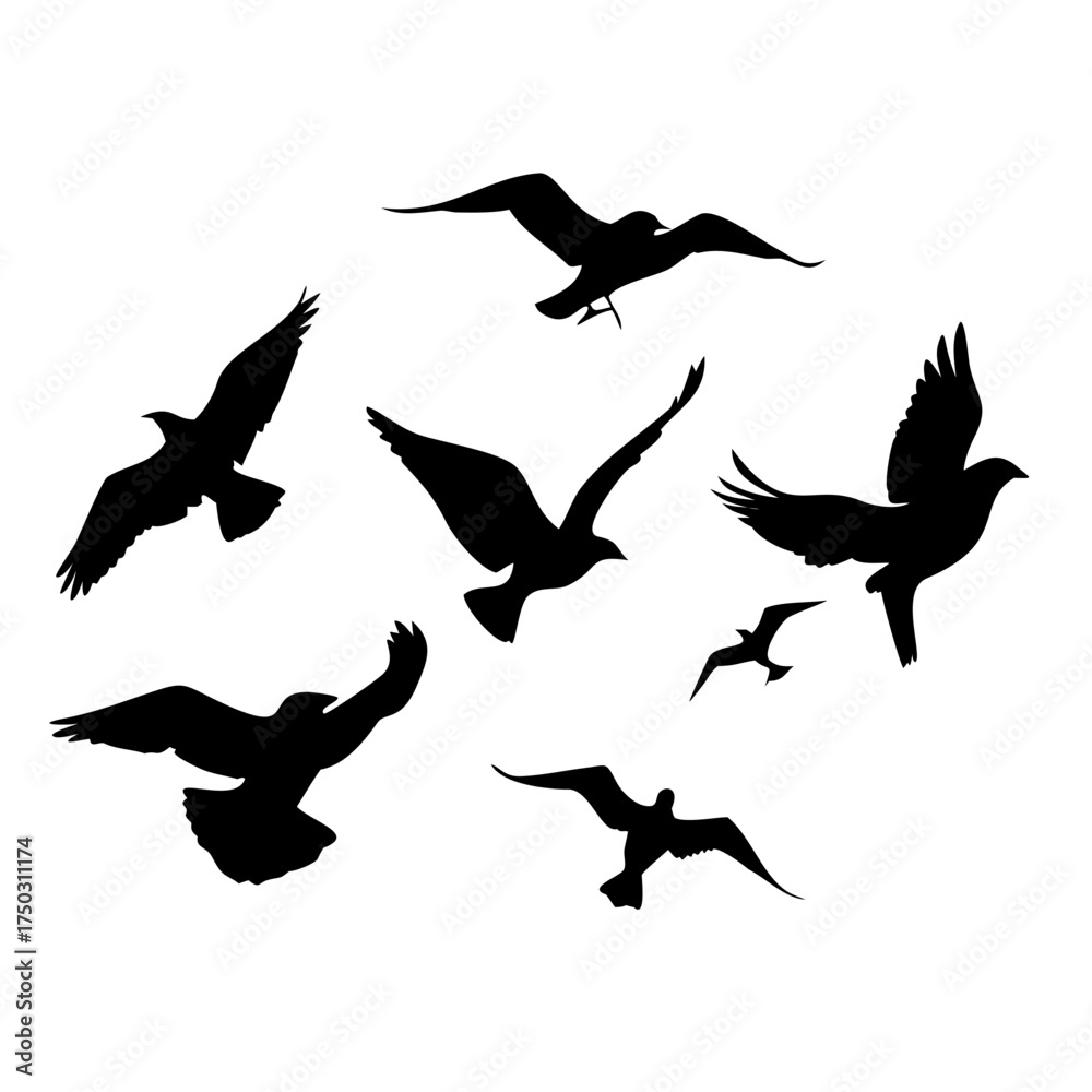 Fototapeta premium silhouette of birds set, on a white background, vector