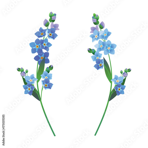 Vintage vector floral element. A set of branches of blooming forget-me-nots. Spring flowers with blue petals. Clipart for wedding designs, Mother's Day, and Valentine's Day cards.