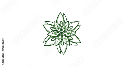 A stylized six-pointed star made of green leaves on a white background.