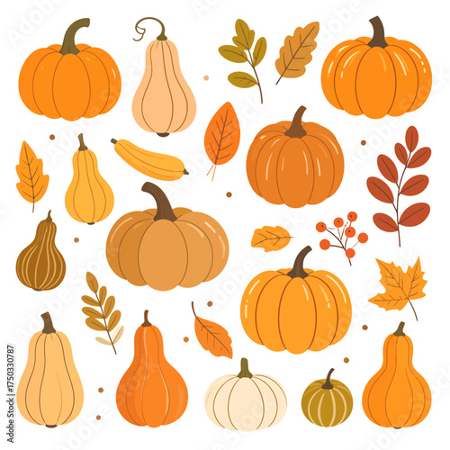 Autumn Harvest A Collection of Pumpkins and Fall Foliage.