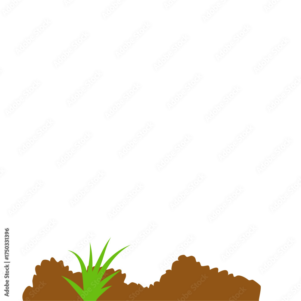 Fototapeta premium ground bed vegetable garden