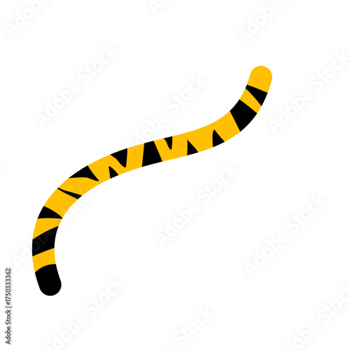 Tiger tail vector