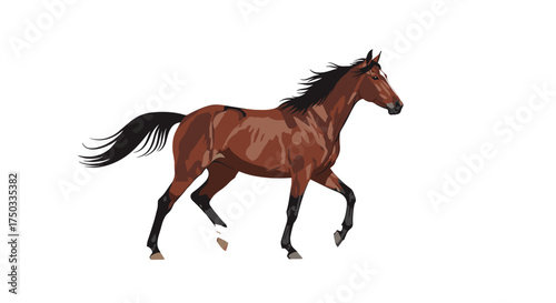 A majestic brown horse gallops across a white background with its mane and tail flowing majestically.