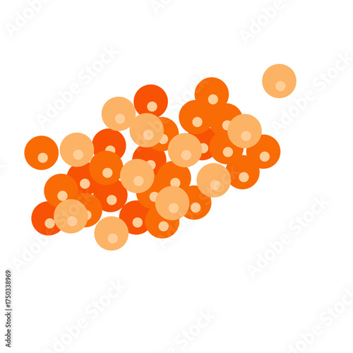 Salmon egg vector