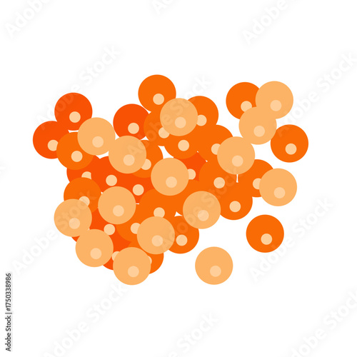 Salmon egg vector