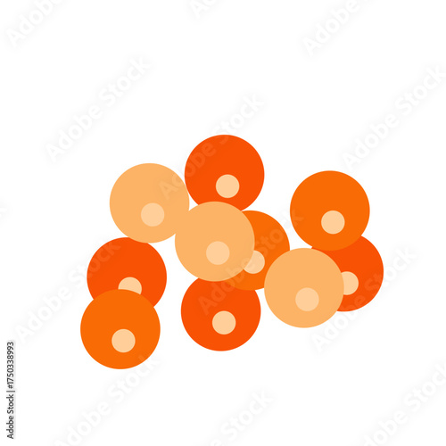 Salmon egg vector