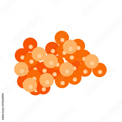 Salmon egg vector