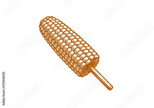 Corn cob hand drawn simple engraved vector illustration