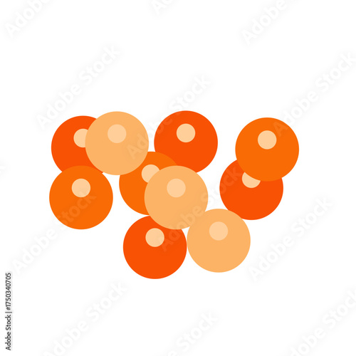 Salmon egg vector