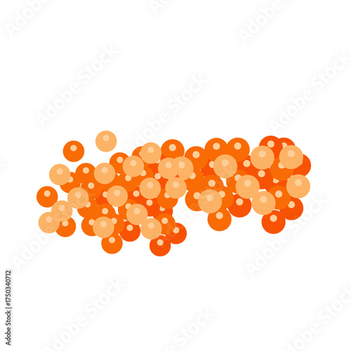 Salmon egg vector