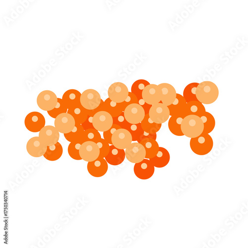 Salmon egg vector
