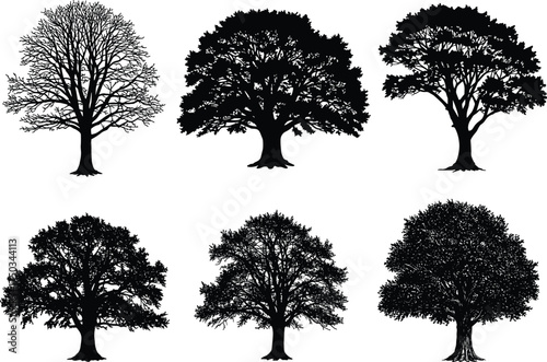 Silhouettes of conifer tree clusters in varied forest shapes, ideal for nature, landscape, outdoor, woodland, and vector design use.
