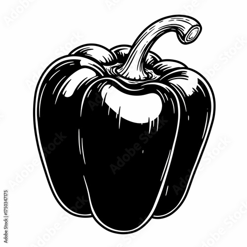 Detailed Bell Pepper