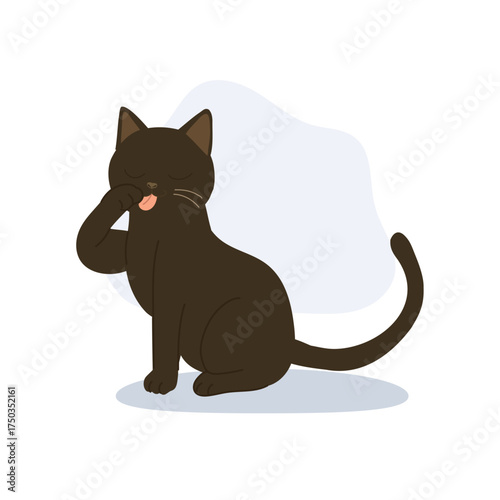 a cute black cat sits and licks its paw. black cat grooming itself adorable kitten moment for cat lovers home decor.