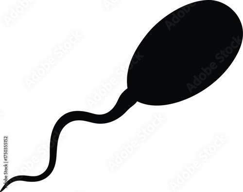 Sperm cell silhouette vector art illustration