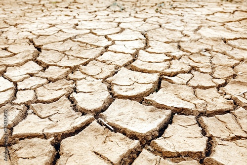 Parched earth shows a network of cracks in dry, desert ground