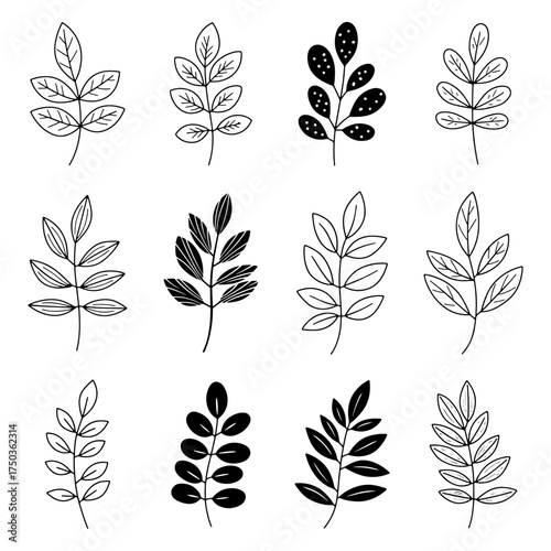 Hand Drawn Doodle Simple Botanical Leaves Outline and Silhouette Set Vector Collection
