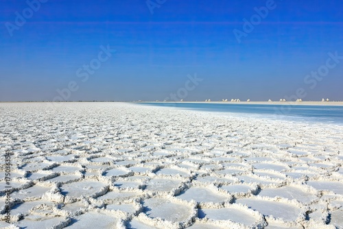 Cracked white salt flat extends to horizon under a clear blue sky