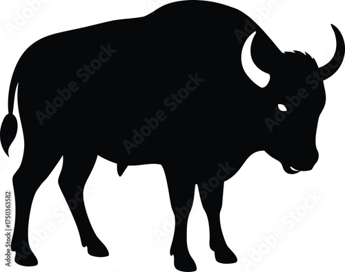 Buffalo silhouette vector art illustration