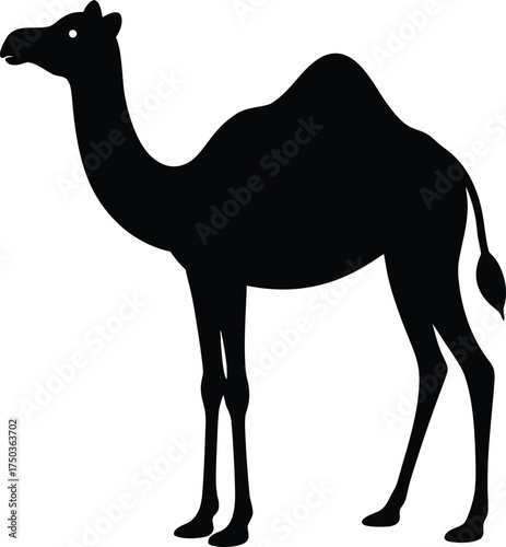 Camel silhouette vector art illustration