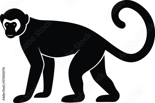 Capuchin monkey silhouette vector art illustration