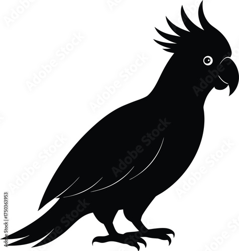 Cockatoo silhouette vector art illustration