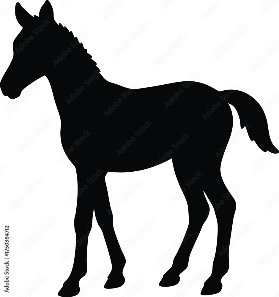 Obraz premium Foal silhouette vector art illustration