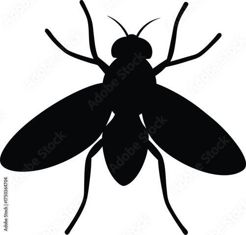 Fly silhouette vector art illustration