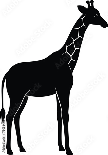Giraffe silhouette vector art illustration