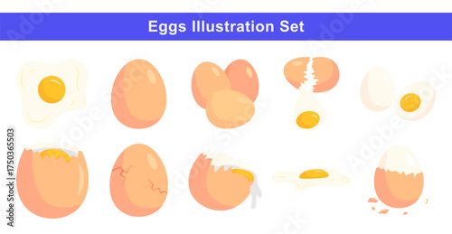 Eggs Illustration Set: Fried, Cracked, and Hard-Boiled