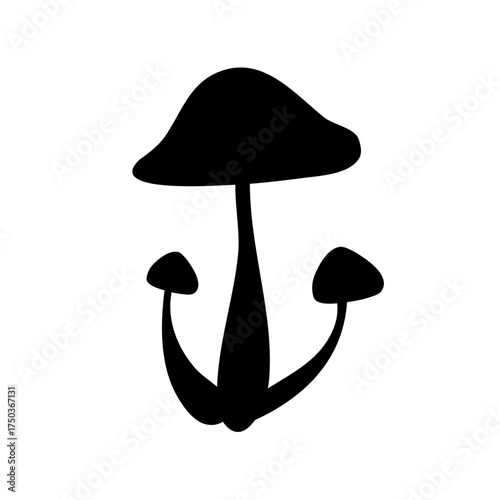 Wild Brown Cap Mushrooms