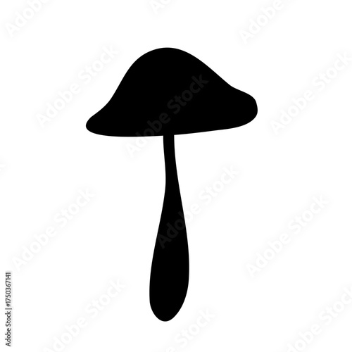 Wild Brown Cap Mushrooms